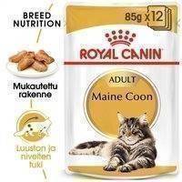 Royal Canin Maine Coon Wet 12 x 85 g